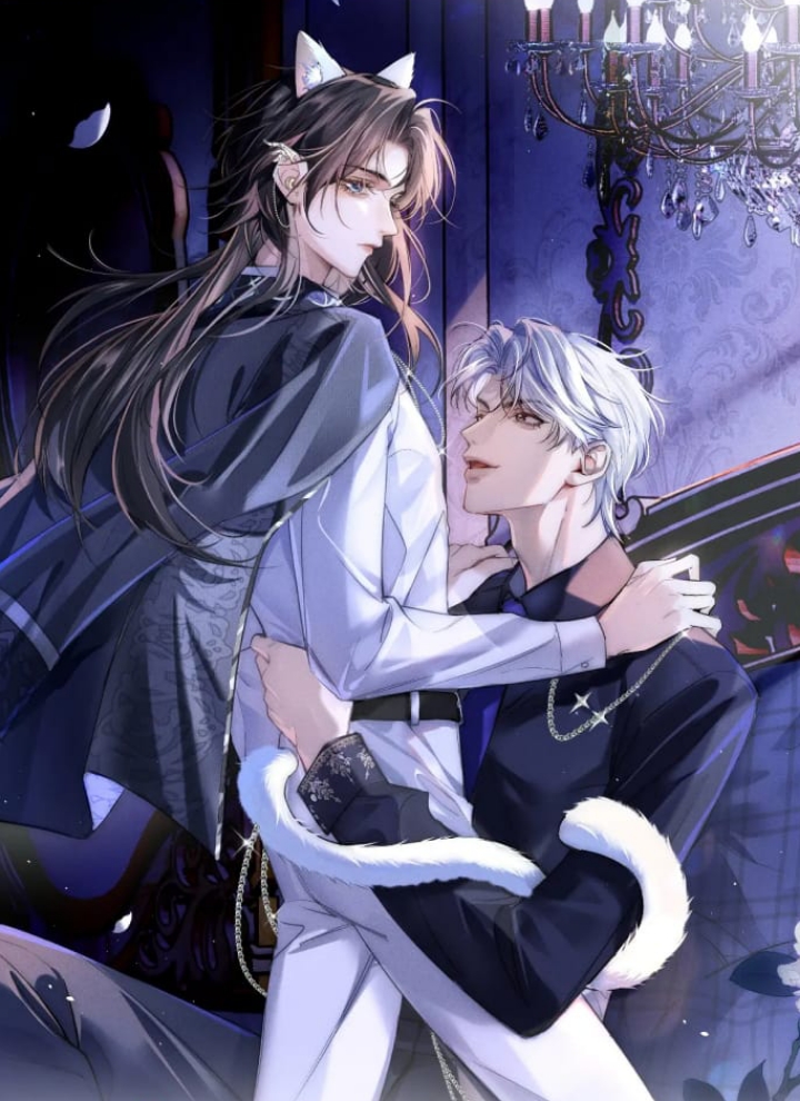 Quan Chỉ Huy Cao Lãnh Hễ Hôn Là Khóc